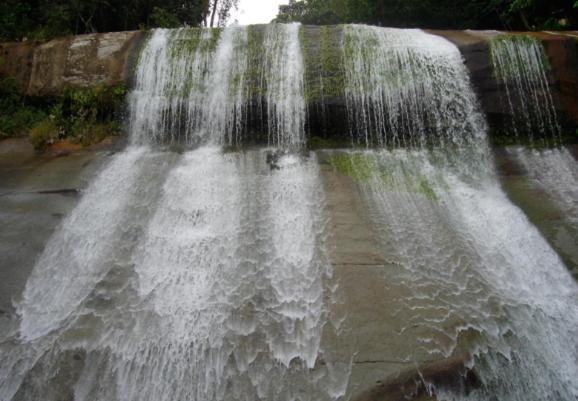 Alojamiento Campestre. San Carlos, Antioquia. Hotel ภายนอก รูปภาพ